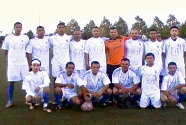 11 lobos